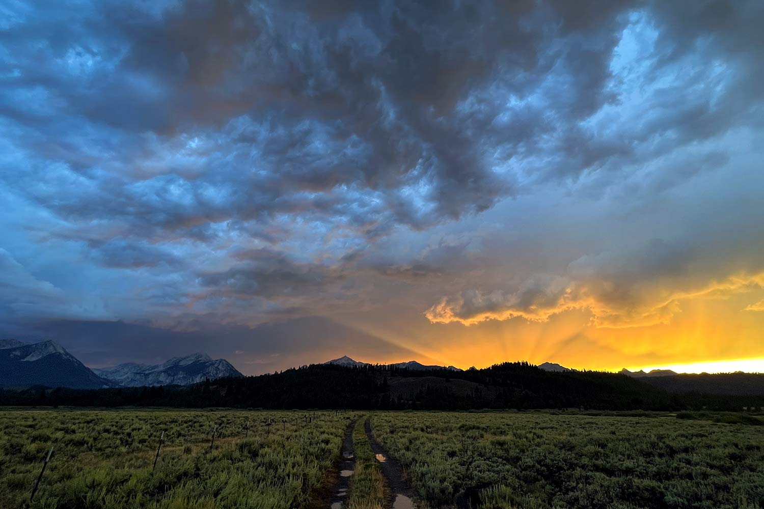Open roads in the Sawtooths. Hence is an equal opportunity enjoyer—we love the single track and the double track.