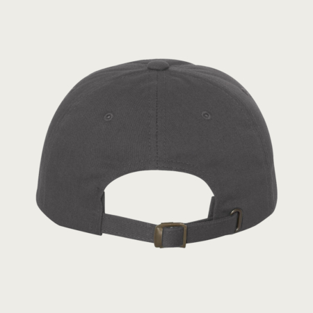 Hence Unstructured Dad Hat. View of back.