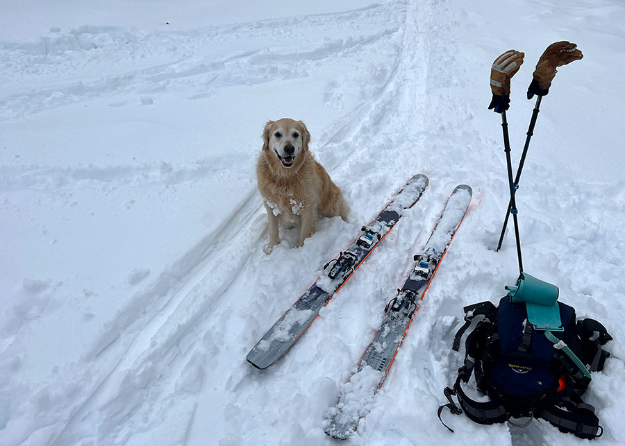 My loyal touring companion Ella.